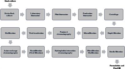 Recent Developments in Bioprocessing of Recombinant Proteins: Expression Hosts and Process Development